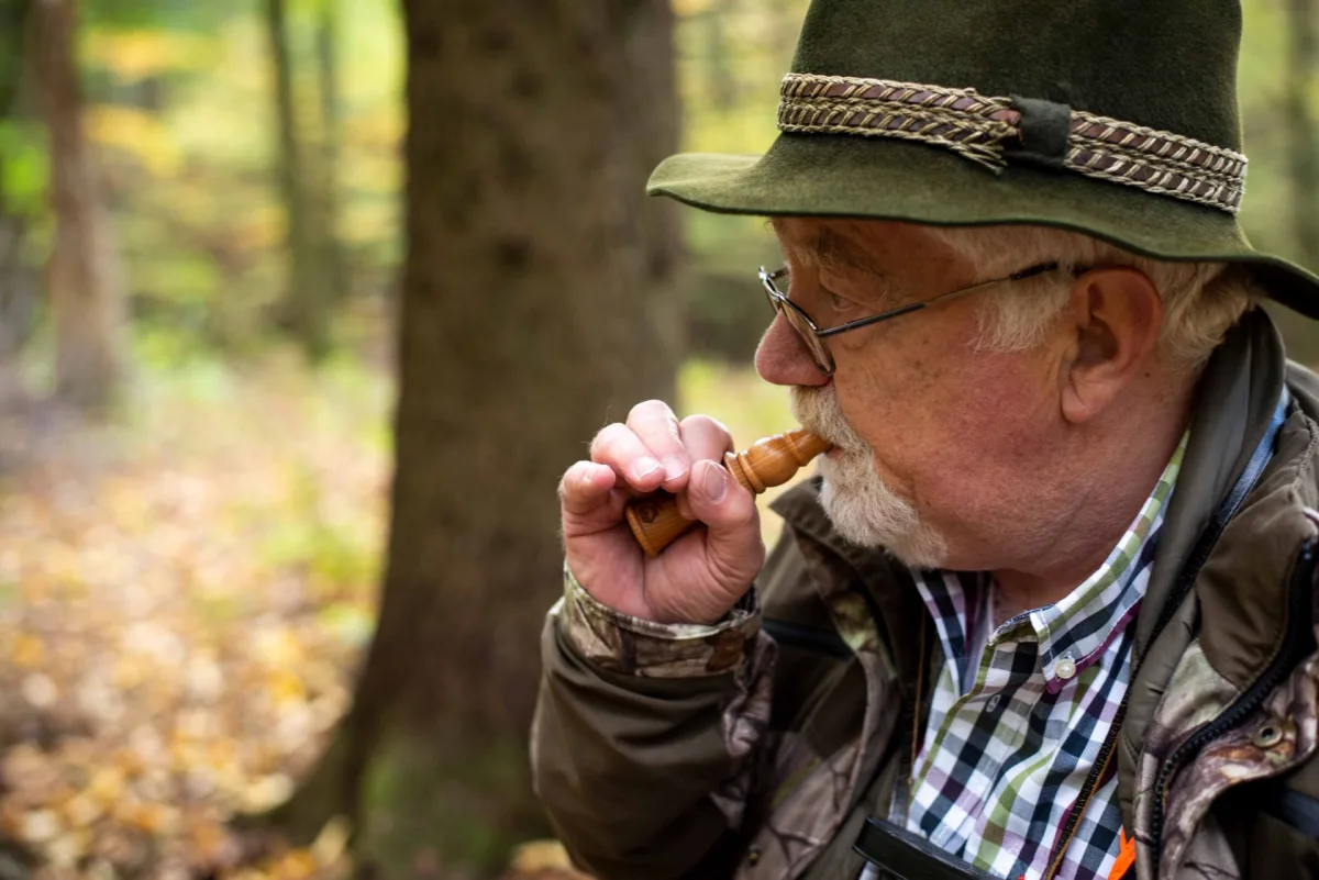 Weisskirchen - wabik na kruki - umierający kruk — zdjęcie 5