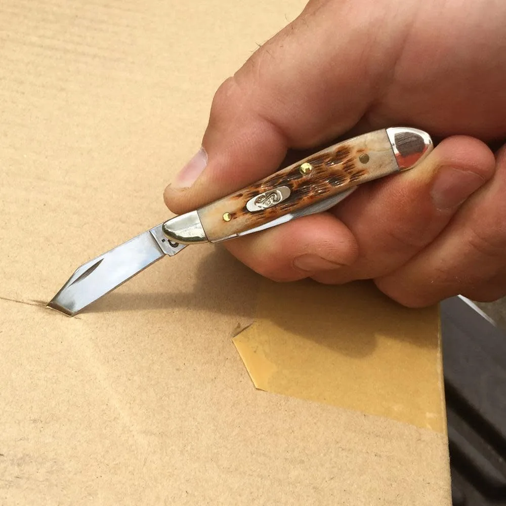 Scyzoryk Case Peanut SS Amber Bone — zdjęcie 5
