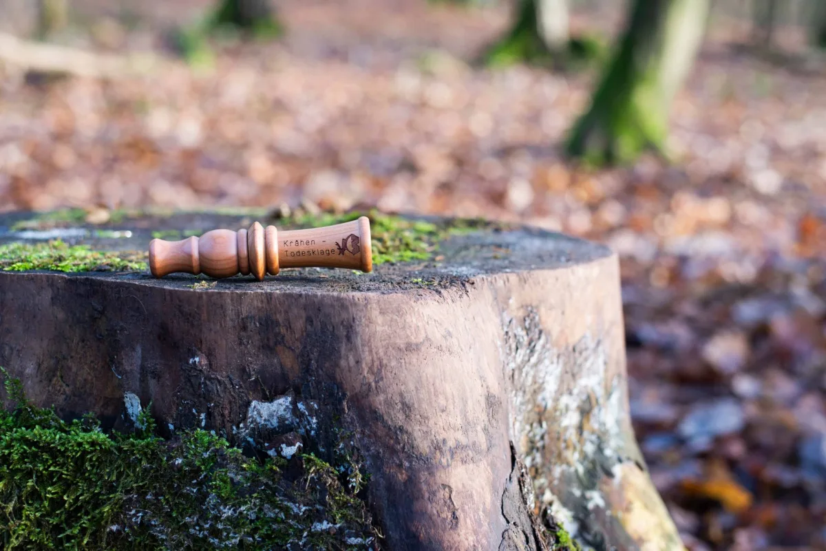 Weisskirchen - wabik na kruki - umierający kruk — zdjęcie 3