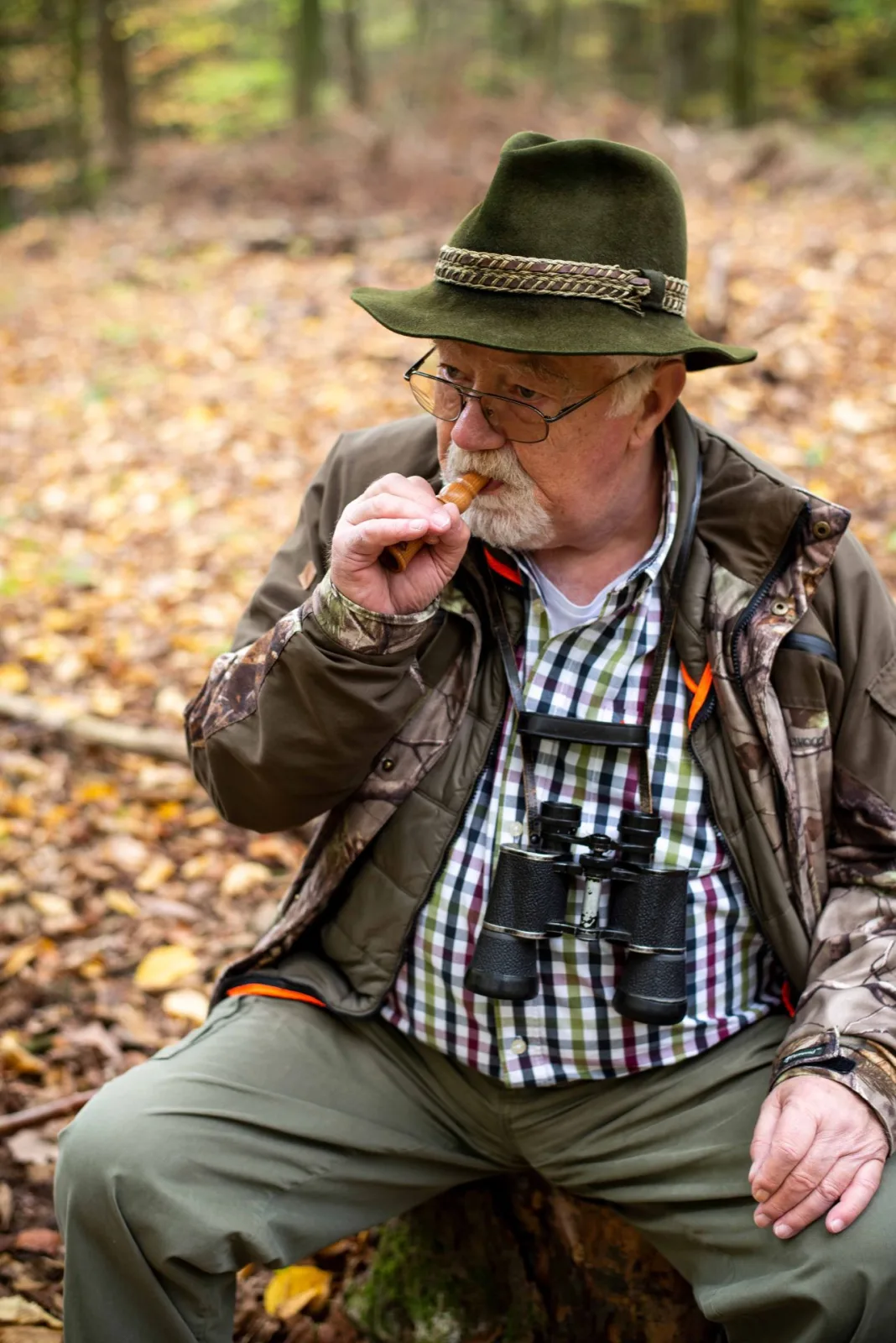 Weisskirchen - wabik na kruki - umierający kruk — zdjęcie 4