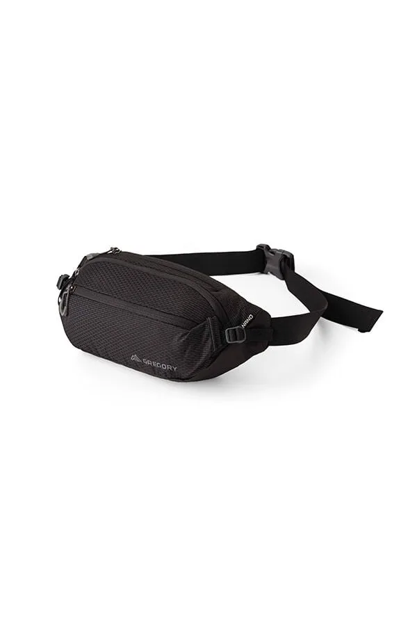 Saszetka nerka Gregory Nano Waistpack 4L O.Black — zdjęcie 1