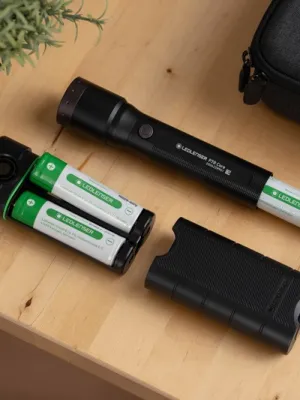 Powerbank Flex10