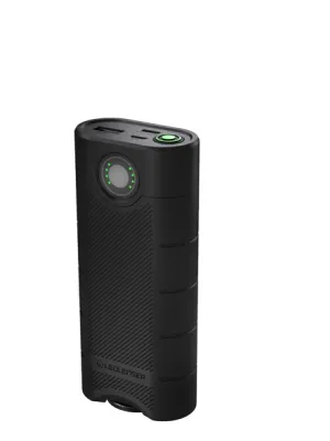 Powerbank Flex10